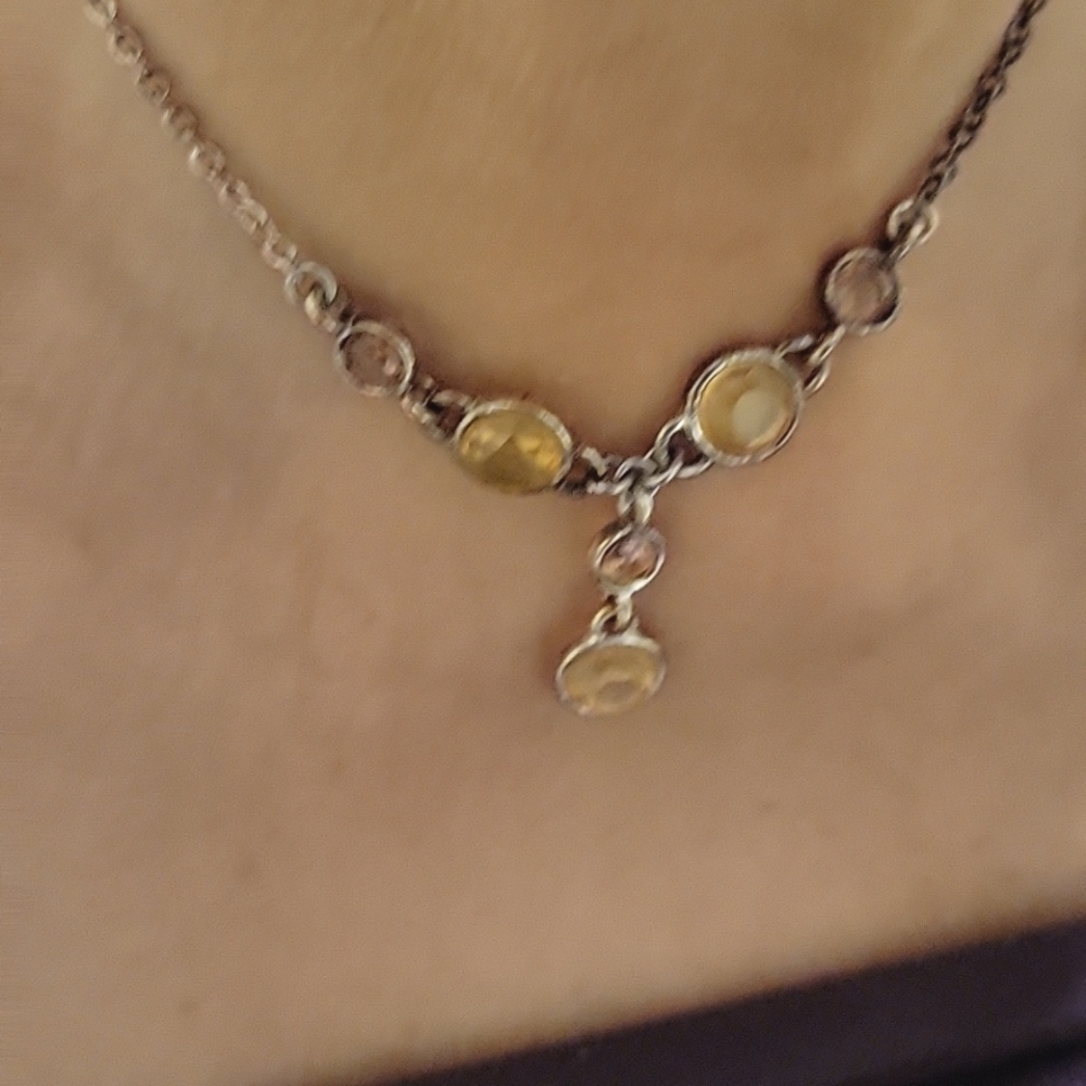 Liz & Co Necklace